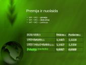 Terminuotų sandorių valiutos rinka 4 puslapis