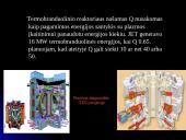Termobranduolinės sintezės tyrimai 6 puslapis