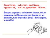 Termoreguliacijos procesas 2 puslapis