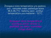 Termoreguliacijos procesas 4 puslapis