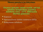 Termoreguliacijos procesas 6 puslapis