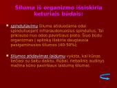 Termoreguliacijos procesas 9 puslapis