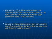 Termoreguliacijos procesas 10 puslapis