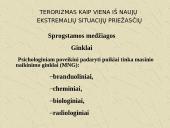 Terorizmas ir teroristai 14 puslapis