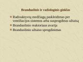 Terorizmas ir teroristai 19 puslapis