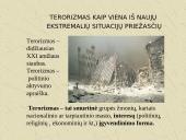 Terorizmas ir teroristai 7 puslapis