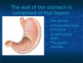The Stomach 4 puslapis