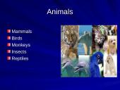 The strangest animals in the world 2 puslapis