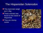 The strangest animals in the world 5 puslapis