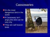 The strangest animals in the world 9 puslapis