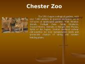 All about The United Kingdom (UK) 11 puslapis