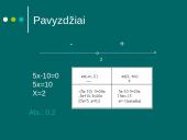 Tiesinių lygčių su moduliu sprendimas 11 puslapis