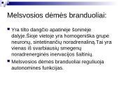 Tinklinio darinio įtaka sensorinėms ir motorinėms funkcijoms 11 puslapis