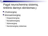 Tinklinio darinio įtaka sensorinėms ir motorinėms funkcijoms 13 puslapis