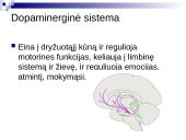Tinklinio darinio įtaka sensorinėms ir motorinėms funkcijoms 14 puslapis