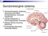 Tinklinio darinio įtaka sensorinėms ir motorinėms funkcijoms 17 puslapis