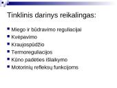 Tinklinio darinio įtaka sensorinėms ir motorinėms funkcijoms 3 puslapis