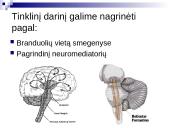 Tinklinio darinio įtaka sensorinėms ir motorinėms funkcijoms 4 puslapis