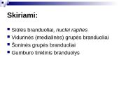 Tinklinio darinio įtaka sensorinėms ir motorinėms funkcijoms 5 puslapis