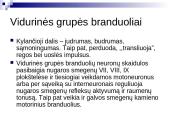 Tinklinio darinio įtaka sensorinėms ir motorinėms funkcijoms 9 puslapis