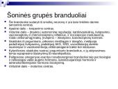 Tinklinio darinio įtaka sensorinėms ir motorinėms funkcijoms 10 puslapis