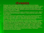 Tyrimų metodologija: paslaugų sferos darbuotojų požiūris į neblaivius asmenis 9 puslapis