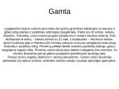 Trakų istorinis nacionalinis parkas (su nuotraukomis) 5 puslapis