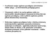 Ugdymo paradigmos ir jų kaita 3 puslapis