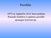 UNESCO veikla 10 puslapis