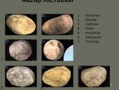 Urano planeta ir palydovai 16 puslapis