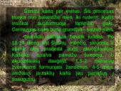 Usūrinis šuo 6 puslapis