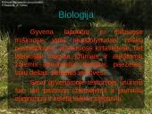 Usūrinis šuo 7 puslapis