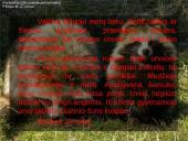 Usūrinis šuo 8 puslapis