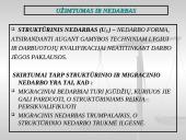 Užimtumo ir nedarbo teorija 7 puslapis