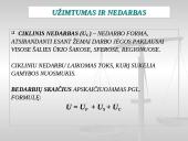 Užimtumo ir nedarbo teorija 8 puslapis