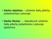 Užsieniečių įsidarbinimas Lietuvoje 2 puslapis
