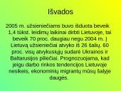 Užsieniečių įsidarbinimas Lietuvoje 11 puslapis