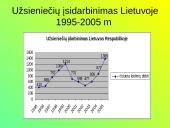 Užsieniečių įsidarbinimas Lietuvoje 6 puslapis