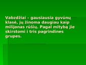 Vabzdžių reikšmė 2 puslapis