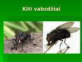 Vabzdžių reikšmė 14 puslapis