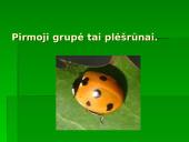 Vabzdžių reikšmė 3 puslapis