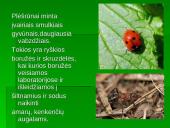 Vabzdžių reikšmė 4 puslapis