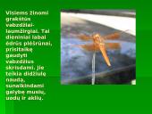 Vabzdžių reikšmė 5 puslapis