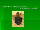 Vabzdžių reikšmė 6 puslapis