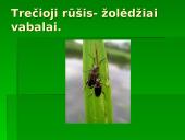 Vabzdžių reikšmė 9 puslapis