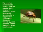 Vabzdžių reikšmė 10 puslapis