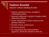 Vadovas ir jo vadovavimo funkcijos 19 puslapis