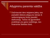 Vadovas ir jo vadovavimo funkcijos 4 puslapis