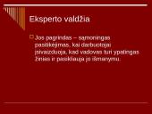 Vadovas ir jo vadovavimo funkcijos 5 puslapis