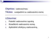 Susipažinimas su vadovavimo esme 2 puslapis